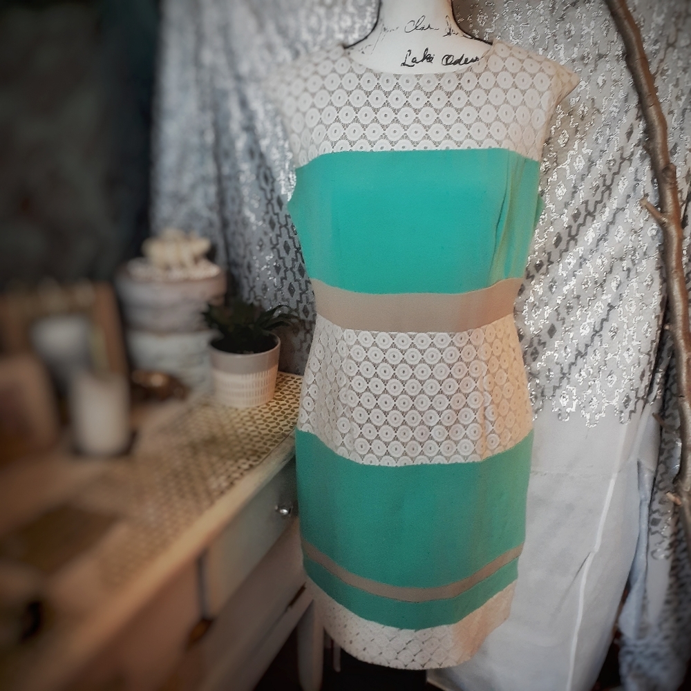Sandra Darren Color Block w/ Lace Dress